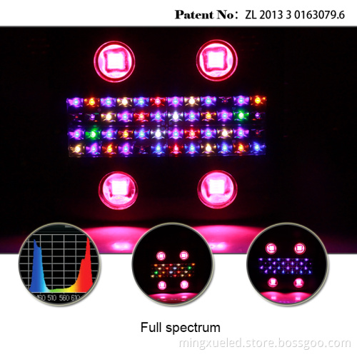 Wifi Control LED Grow Light